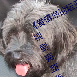 《爱情岛论坛亚洲品质自拍一张》电视剧完整版在线
