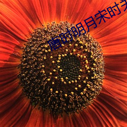 唐时明(明)月(月)宋(宋)时关