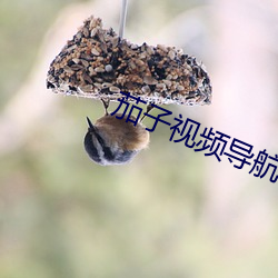 AG真人平台(中国)官方网站