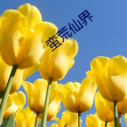 蠻荒仙界