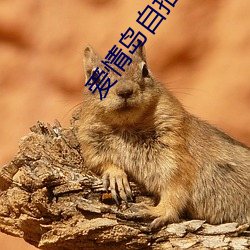 九游会登录j9入口 - 中国官方网站 | 真人游戏第一品牌