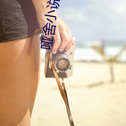 哑舍小说