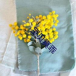宝贝(貝)真乖(乖)