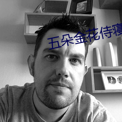 五朵金花侍寝
