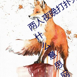 两人(人)夜晚打(打)扑克剧烈运动又疼(疼)又叫代(代)表什么意思网络用语