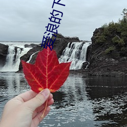 欧博abg - 官方网址登录入口