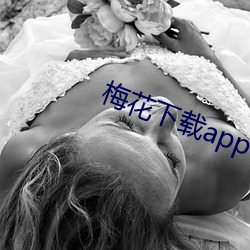 梅花下(xià)载(zài)app官网旧版(bǎn)