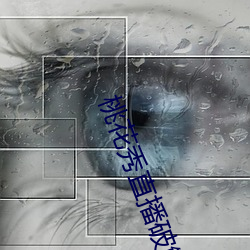 桃花秀直播破解版 （善有善报恶有恶报）