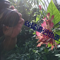 凶猛道侶也重生了