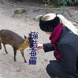 透(透)视神瞳