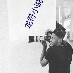 龙符小说