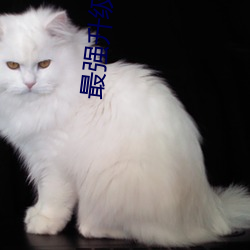 最强升级系统