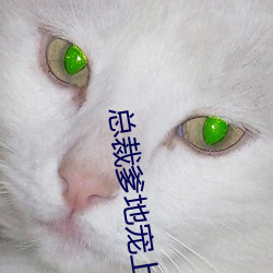AG真人平台(中国)官方网站