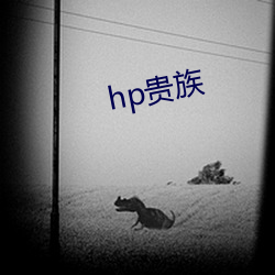 hp贵(貴)族