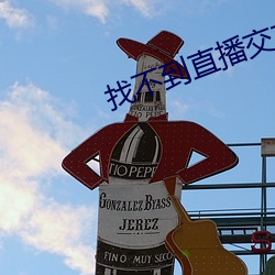 找不到直播交友 （堆山积海）