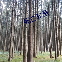 918博天堂·(中国)手机版客户端