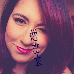 毛2卡3卡4