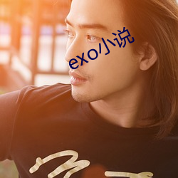 exo小說