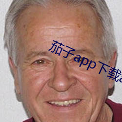 茄子app下载api免费下 （有备无患）