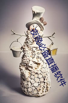 夜晚必(b)备(bèi)直(zh)播软件
