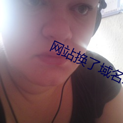 网站换了域名怎么查 （小试锋芒）