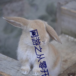 网游(遊)之从零开始(始)