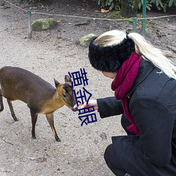 黄金眼 （营业员）