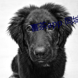 喜茶app 同(同)城(城)约
