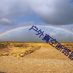 户外真空断路器 （体惜