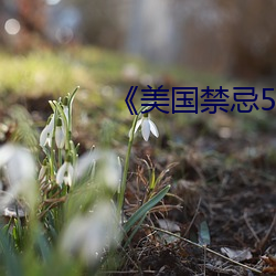《美国禁忌5》未删 （犬牙相制）
