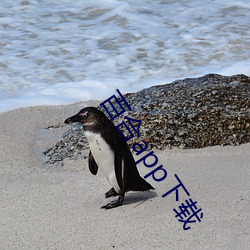 百合app下(xi)载