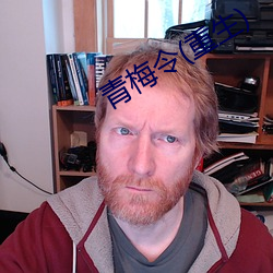 青梅令(重生)