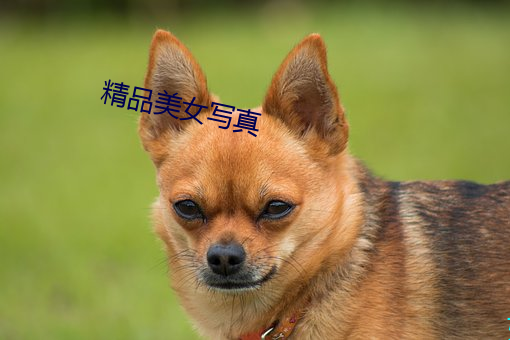 精品美女写真
