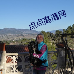 点点高清网