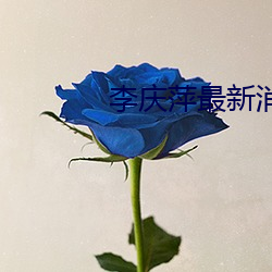 李庆萍最新消息是真的吗 ��目不暇给）