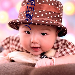 人妻互換 綜合