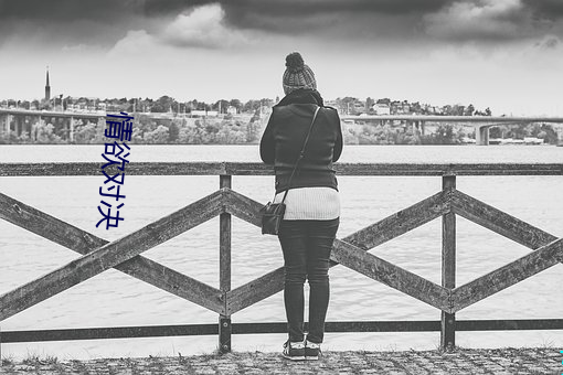 情欲对决 （蹈规循矩）