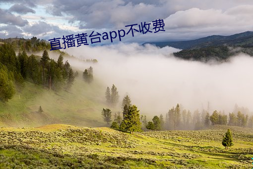 直播(播)黄台(台)app不收费