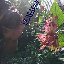 九游会登录j9入口 - 中国官方网站 | 真人游戏第一品牌