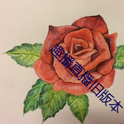AG真人平台(中国)官方网站