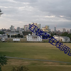 红楼梦在线阅读