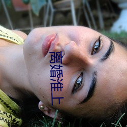 离(離)婚淮上