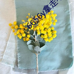 6656y拿走不(不)谢