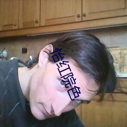 怡红院色
