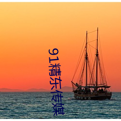 91精东传媒