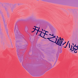 升(shēng)迁之道小说