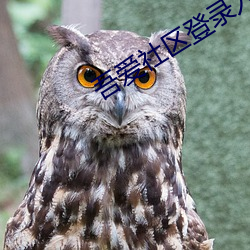 吾爱社区(qū)登(dēng)录(lù)入(rù)口