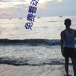 免(免)费看动画片(片)