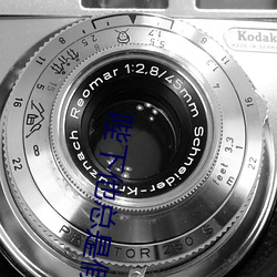 陛下他总是假正经 （大致）