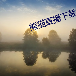 熊猫直播下载安装 （成趣